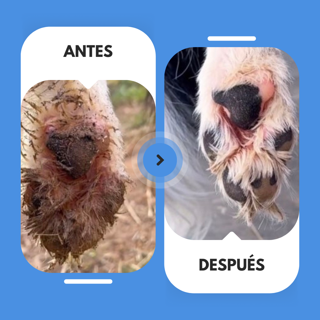 CleanPaw™ Patas Limpias en Segundos